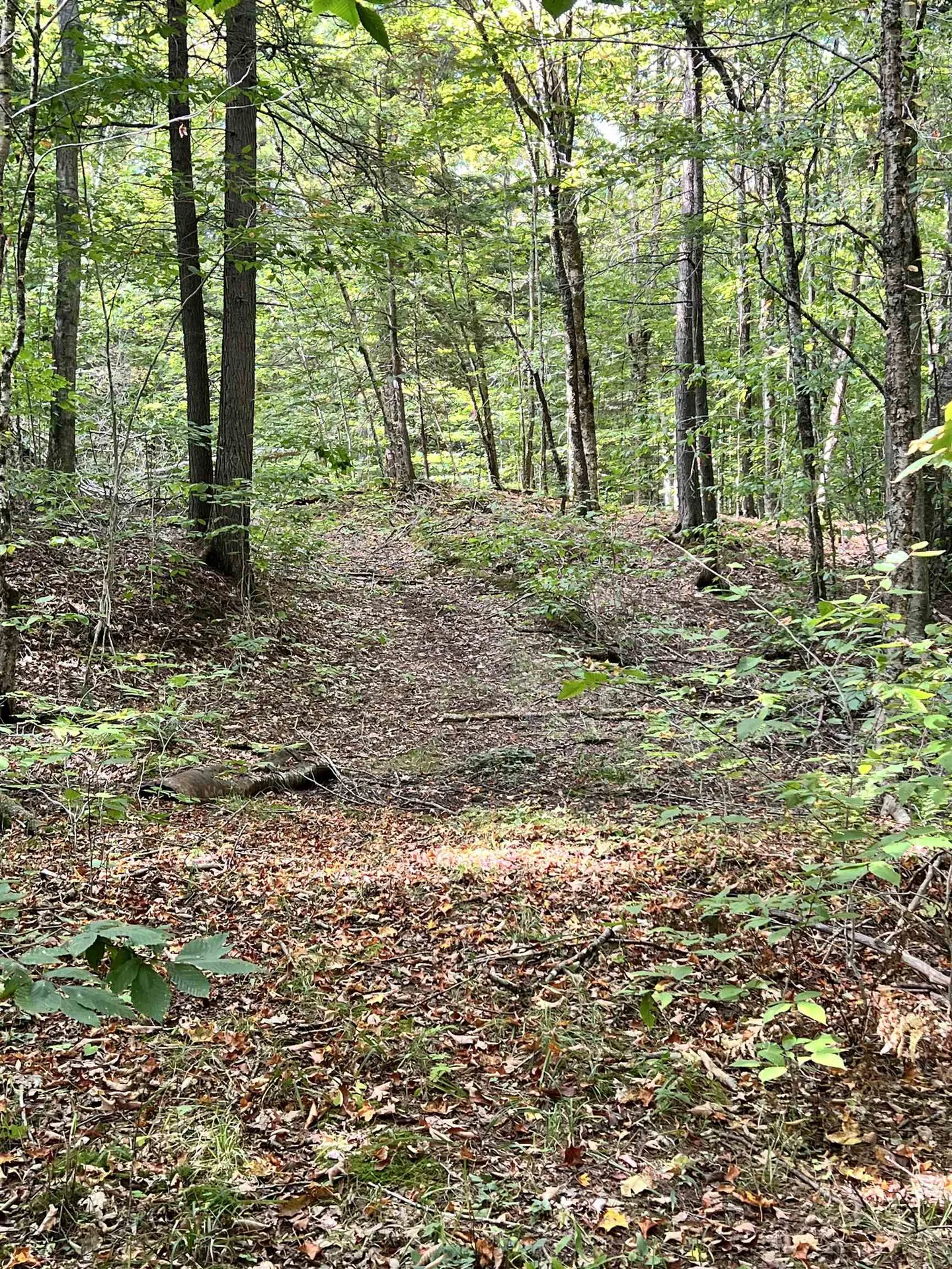 Five Corners Road Thetford VT 05075