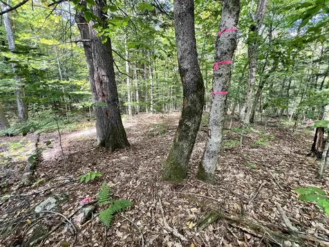 Five Corners Road Thetford VT 05075
