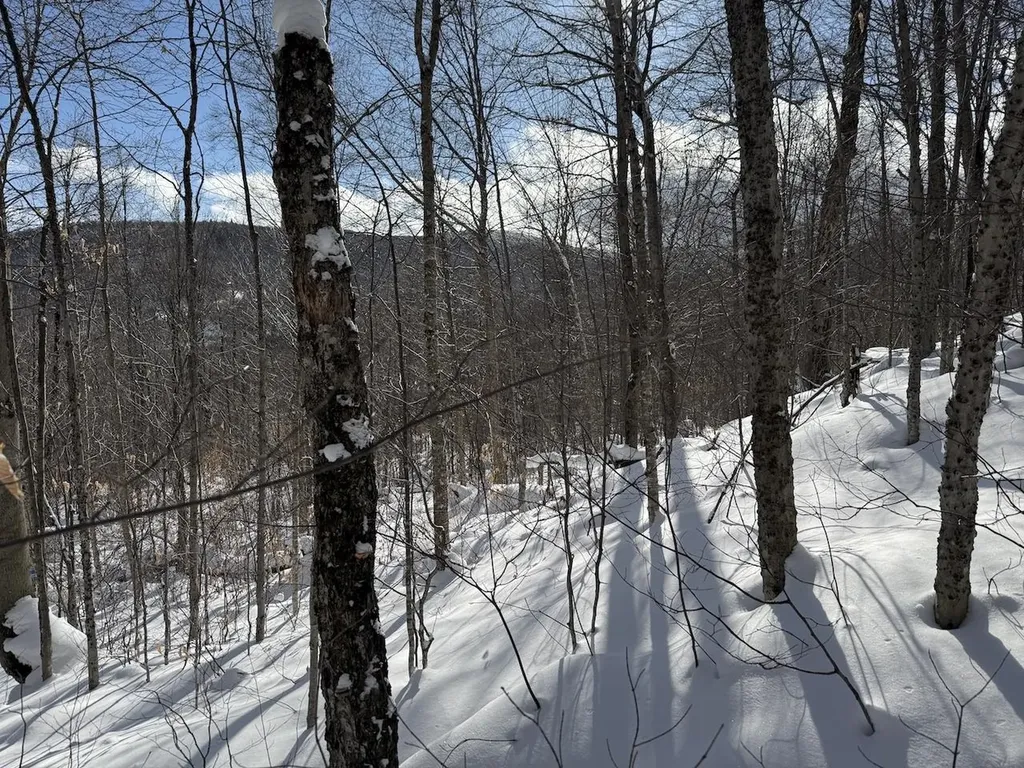 S-1E Great Roaring Brook Road Plymouth VT 05056