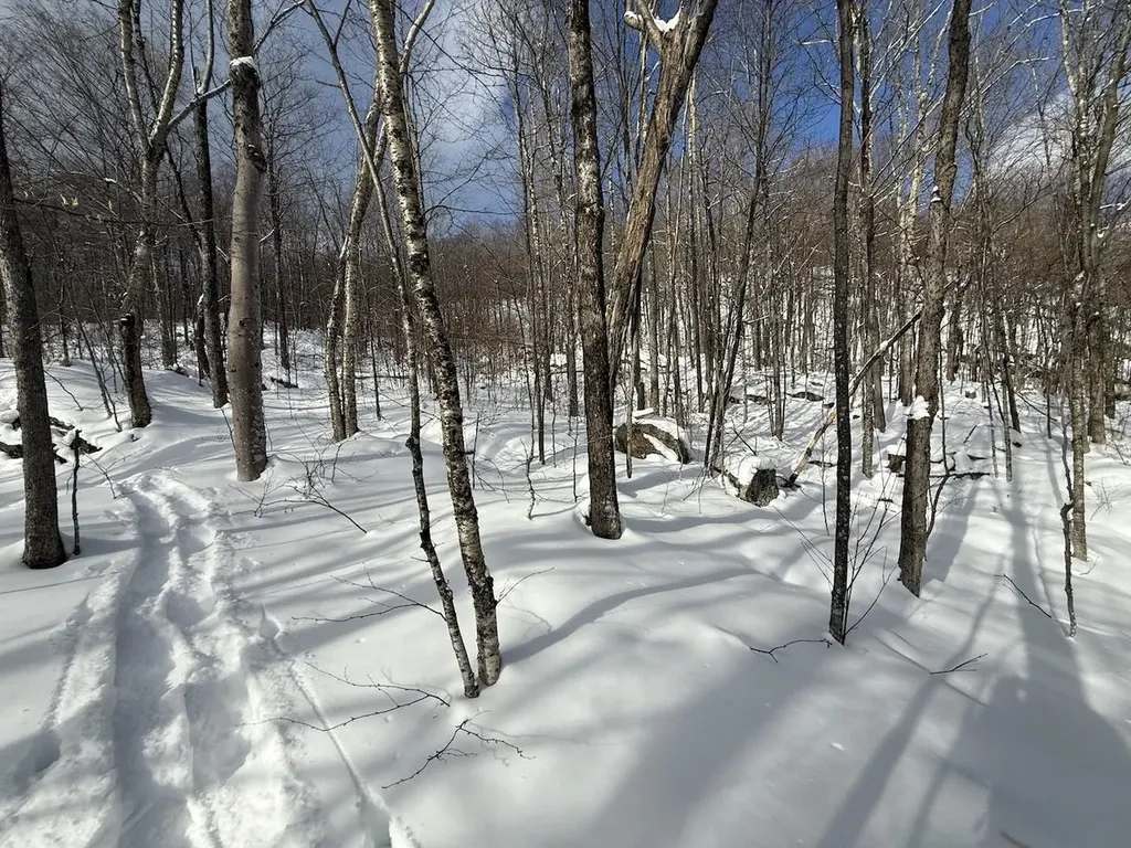 S-1E Great Roaring Brook Road Plymouth VT 05056