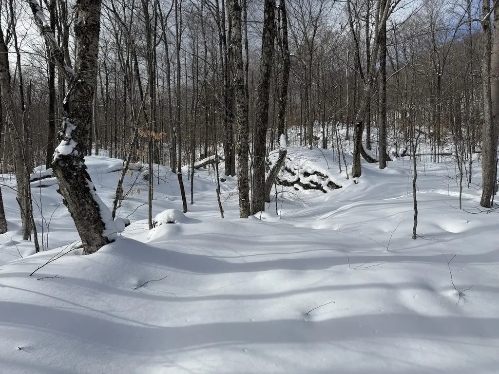 S-1E Great Roaring Brook Road Plymouth VT 05056