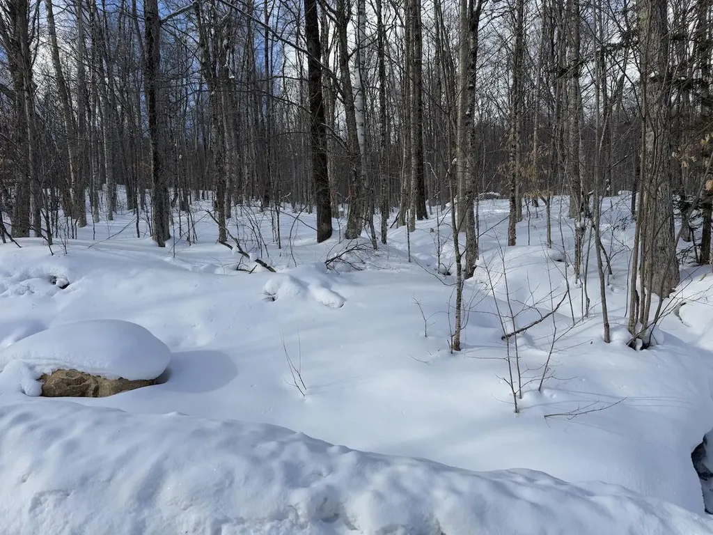 S-1E Great Roaring Brook Road Plymouth VT 05056