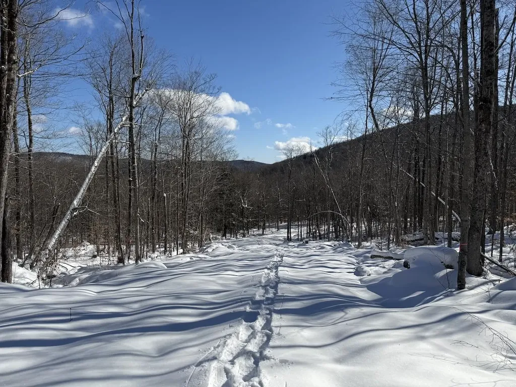 S-1E Great Roaring Brook Road Plymouth VT 05056