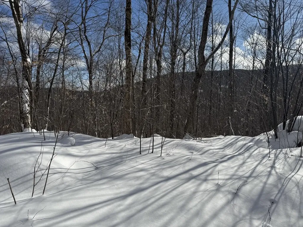 S-1E Great Roaring Brook Road Plymouth VT 05056