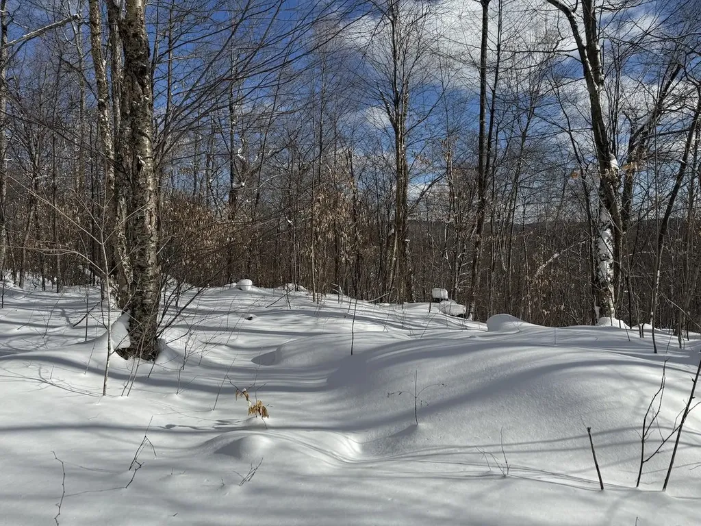 S-1E Great Roaring Brook Road Plymouth VT 05056