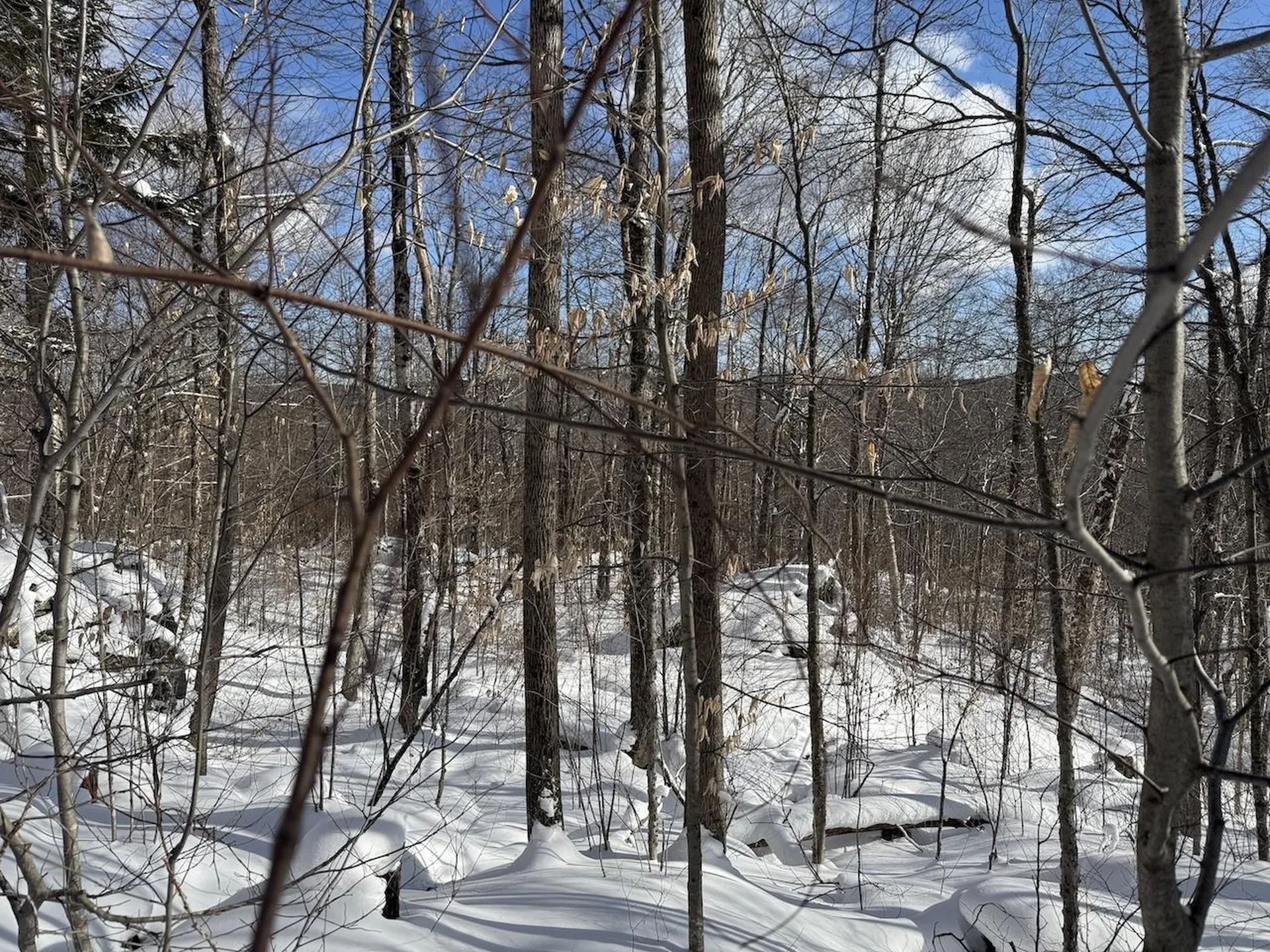 S-1E Great Roaring Brook Road Plymouth VT 05056