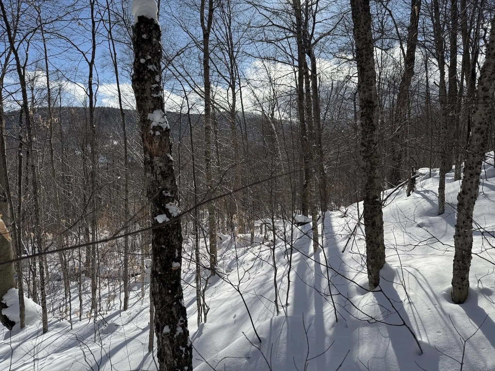 S-1E Great Roaring Brook Road Plymouth VT 05056