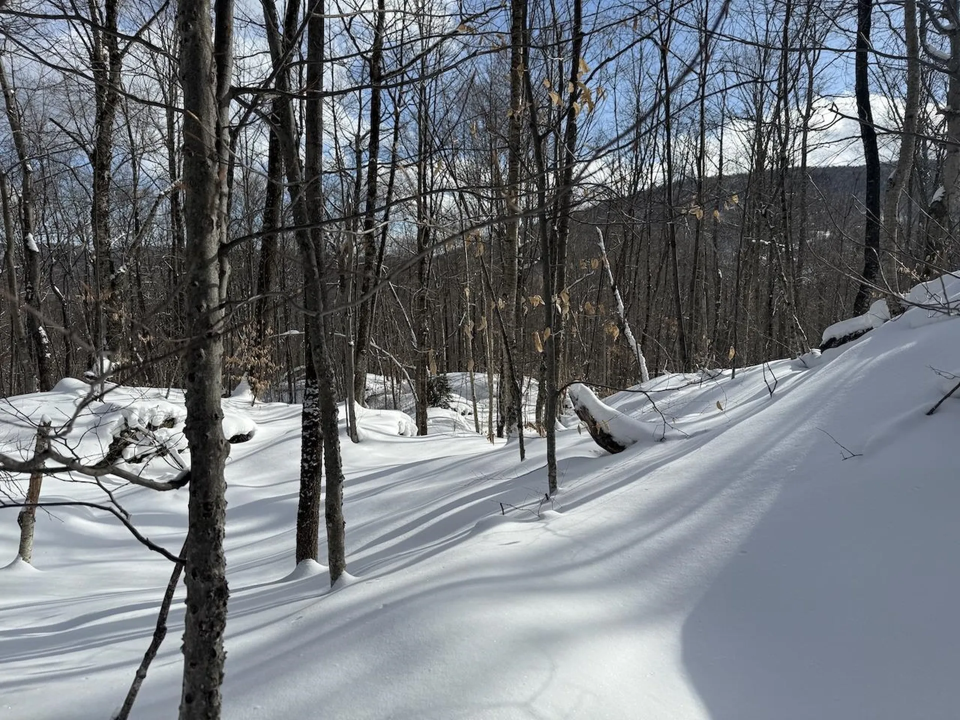 S-1E Great Roaring Brook Road Plymouth VT 05056