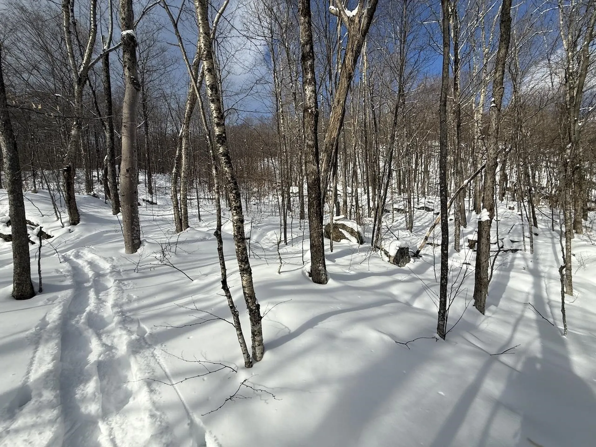 S-1E Great Roaring Brook Road Plymouth VT 05056