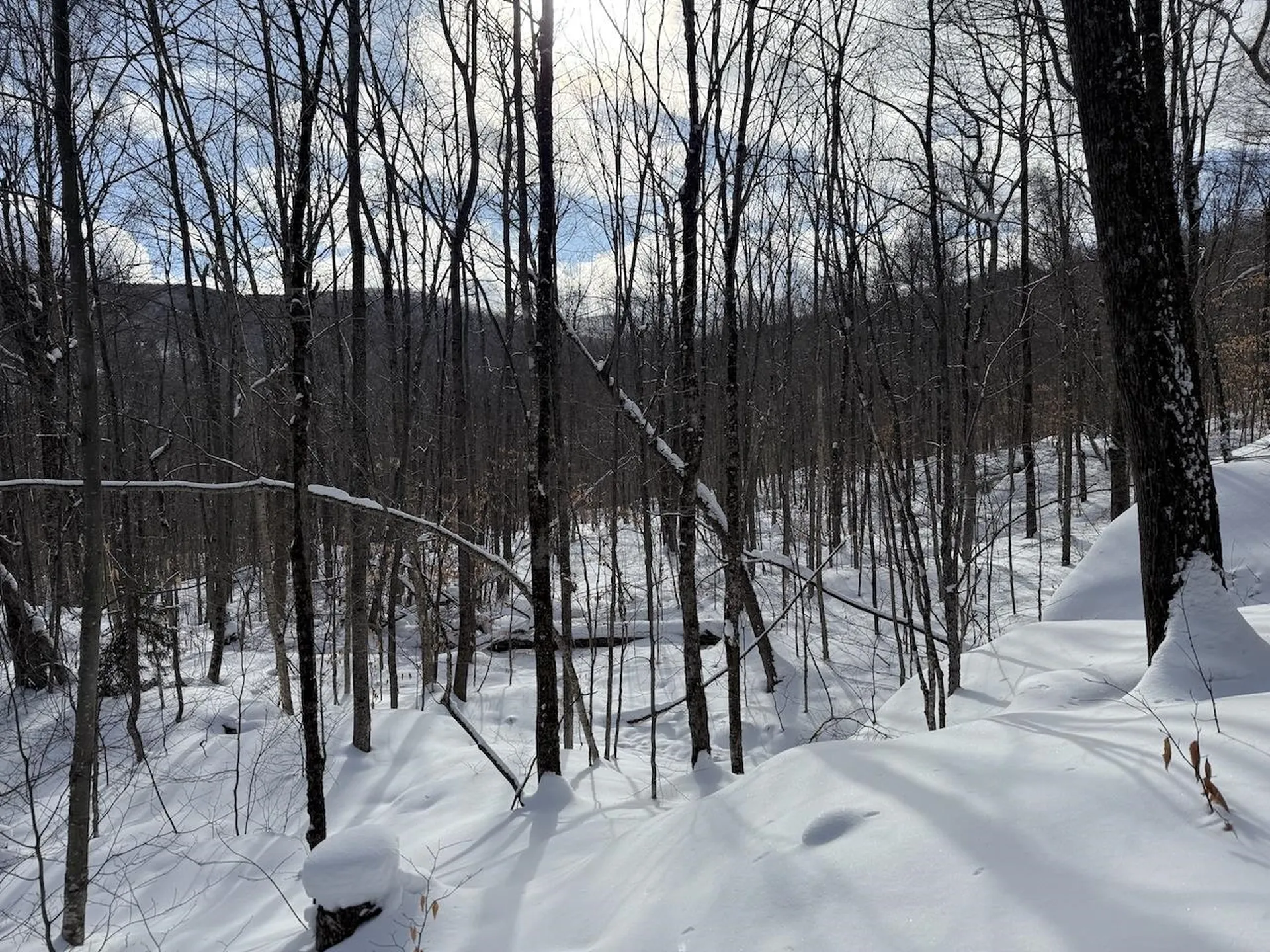 S-1E Great Roaring Brook Road Plymouth VT 05056