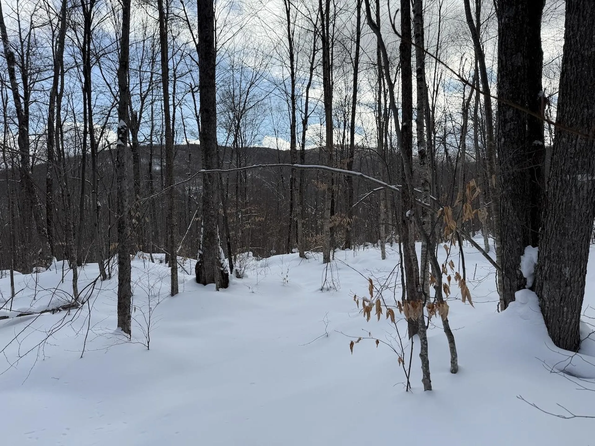 S-1E Great Roaring Brook Road Plymouth VT 05056