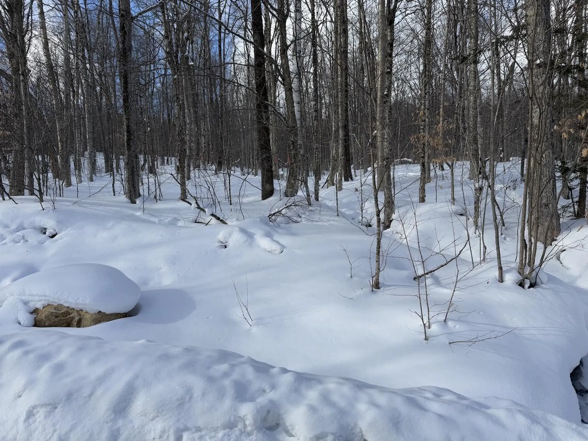 S-1E Great Roaring Brook Road Plymouth VT 05056