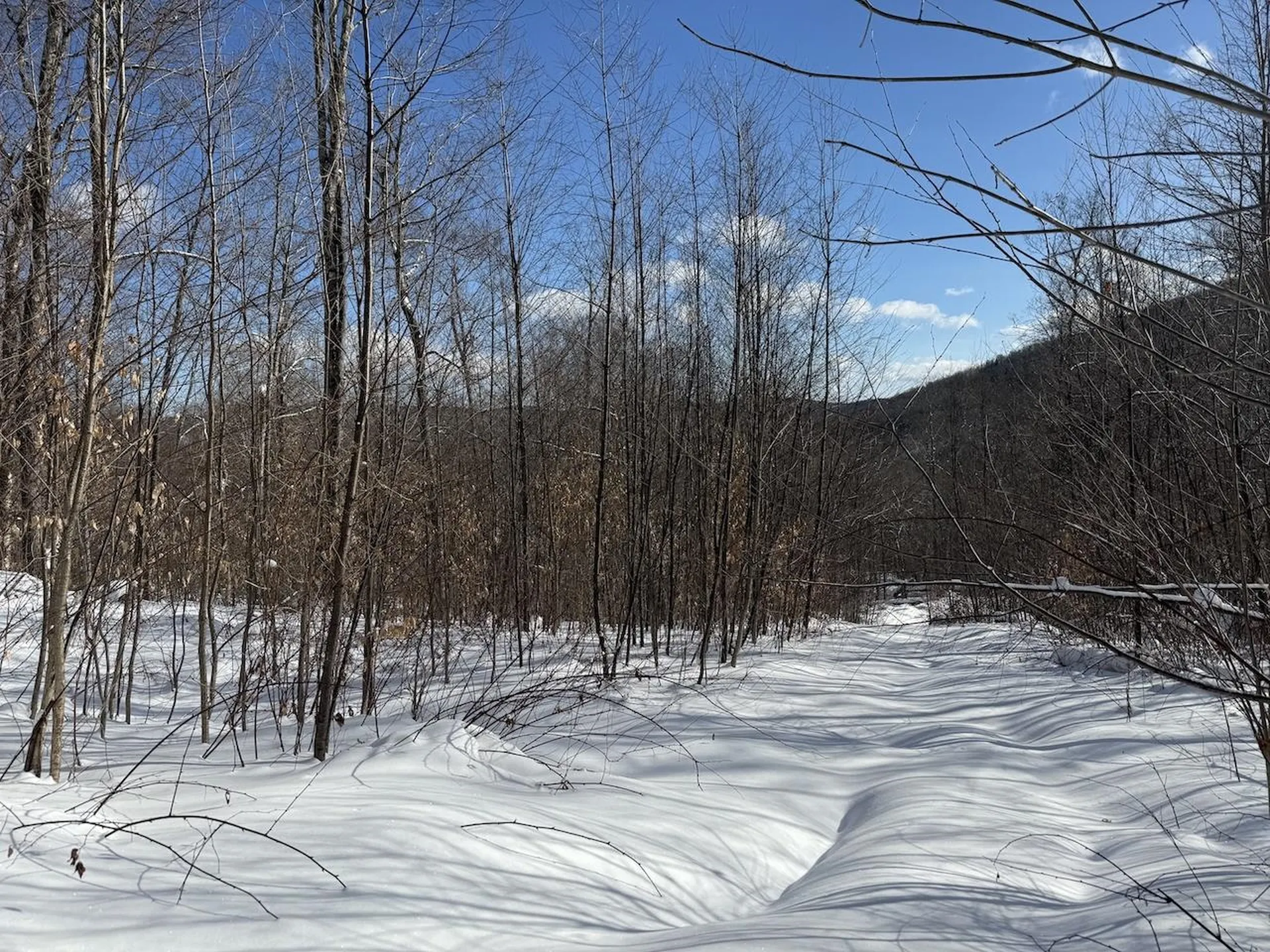 S-1E Great Roaring Brook Road Plymouth VT 05056