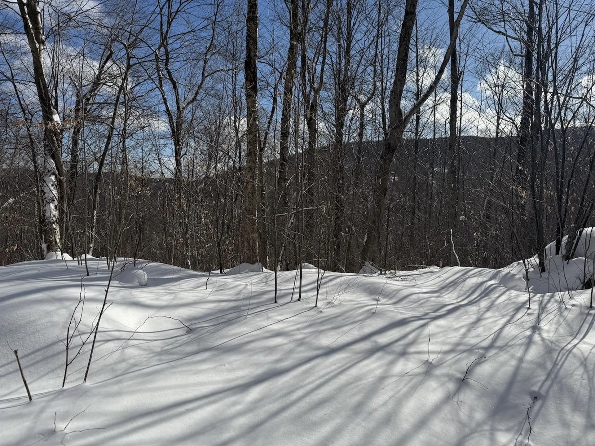 S-1E Great Roaring Brook Road Plymouth VT 05056