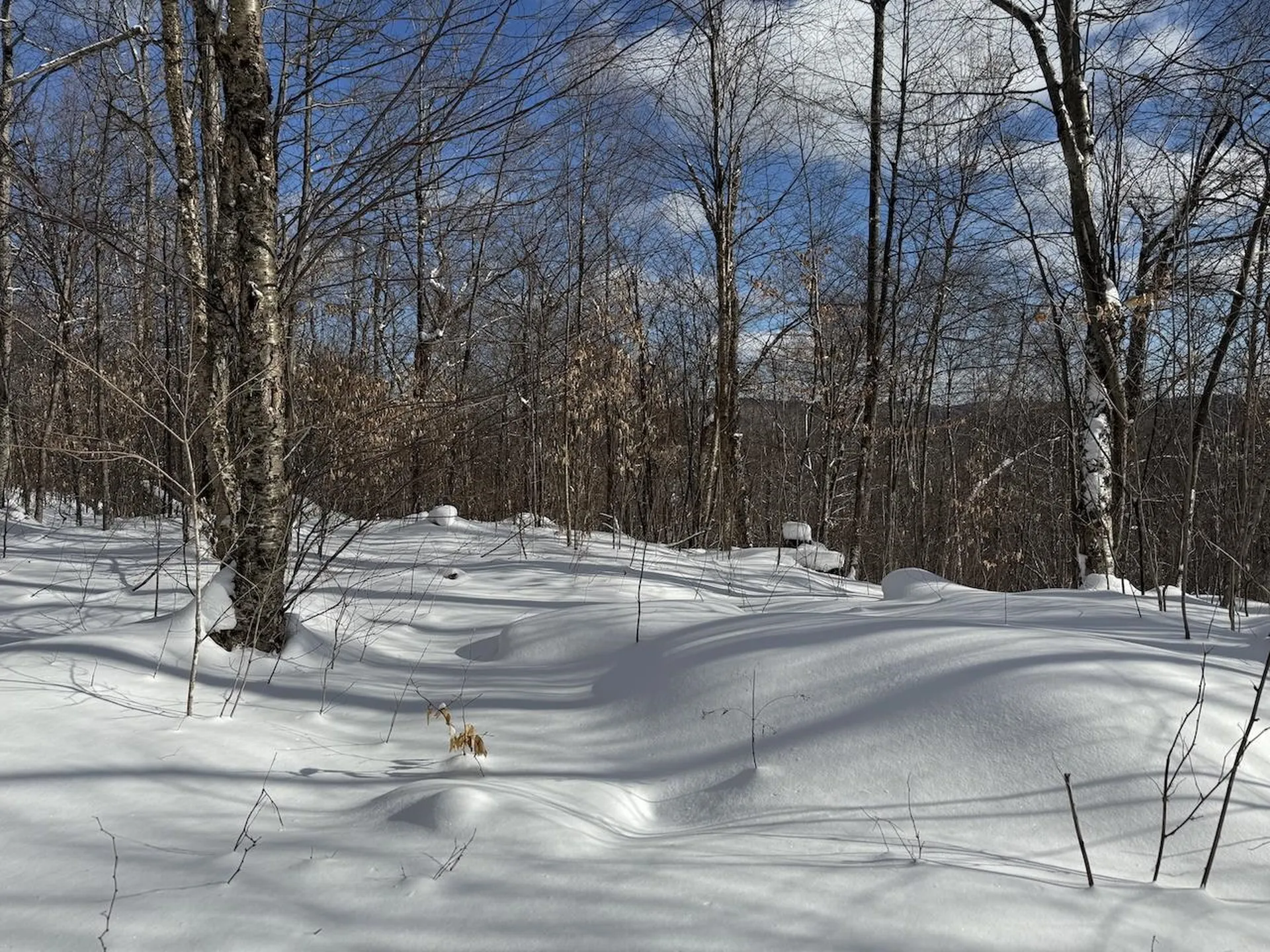 S-1E Great Roaring Brook Road Plymouth VT 05056