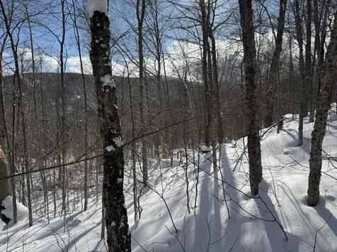 S-1E Great Roaring Brook Road Plymouth VT 05056