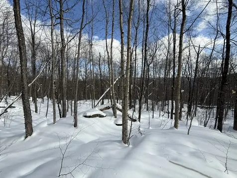 S-1E Great Roaring Brook Road Plymouth VT 05056