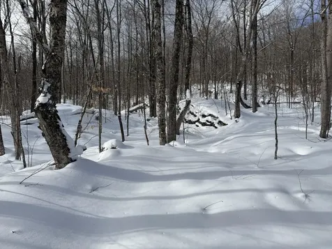 S-1E Great Roaring Brook Road Plymouth VT 05056