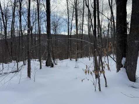 S-1E Great Roaring Brook Road Plymouth VT 05056