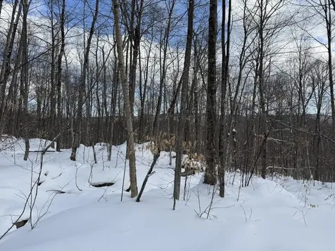 S-1E Great Roaring Brook Road Plymouth VT 05056