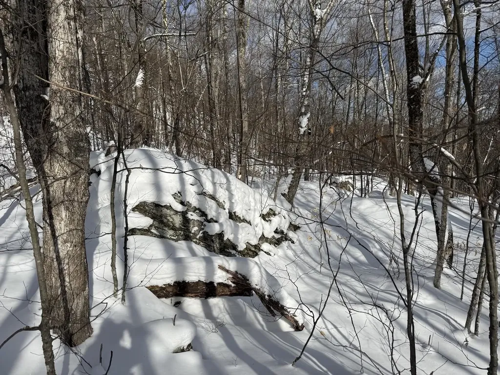 S-1d Great Roaring Brook Road Plymouth VT 05056