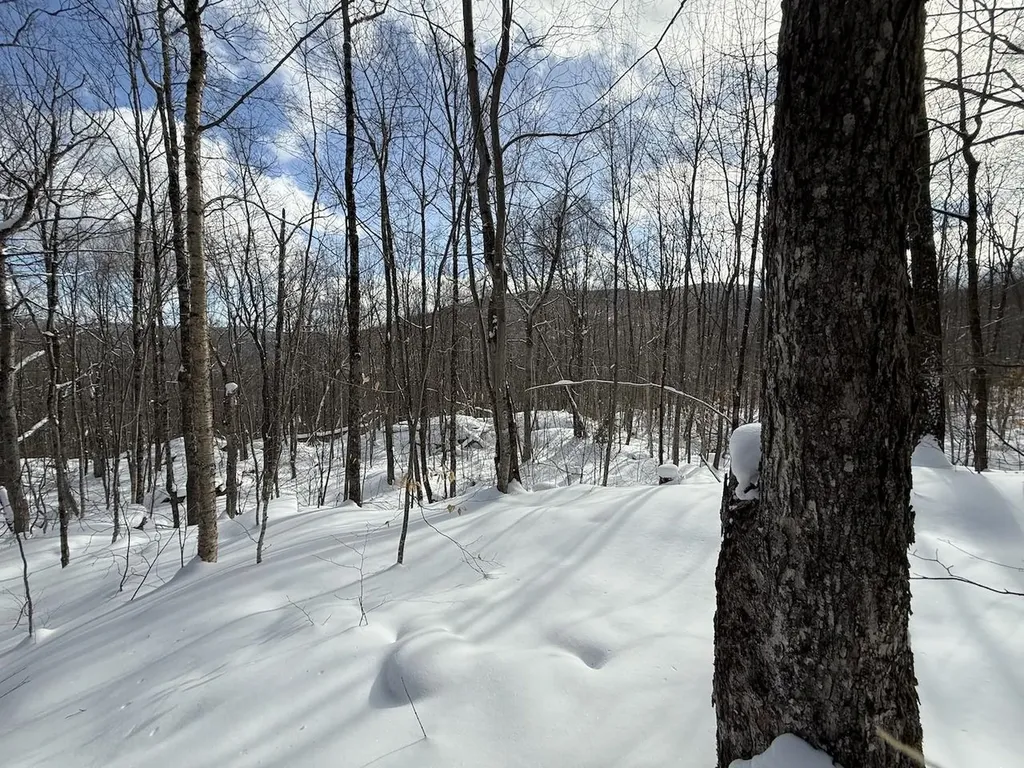 S-1d Great Roaring Brook Road Plymouth VT 05056