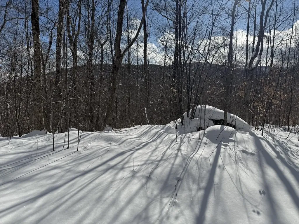 S-1d Great Roaring Brook Road Plymouth VT 05056