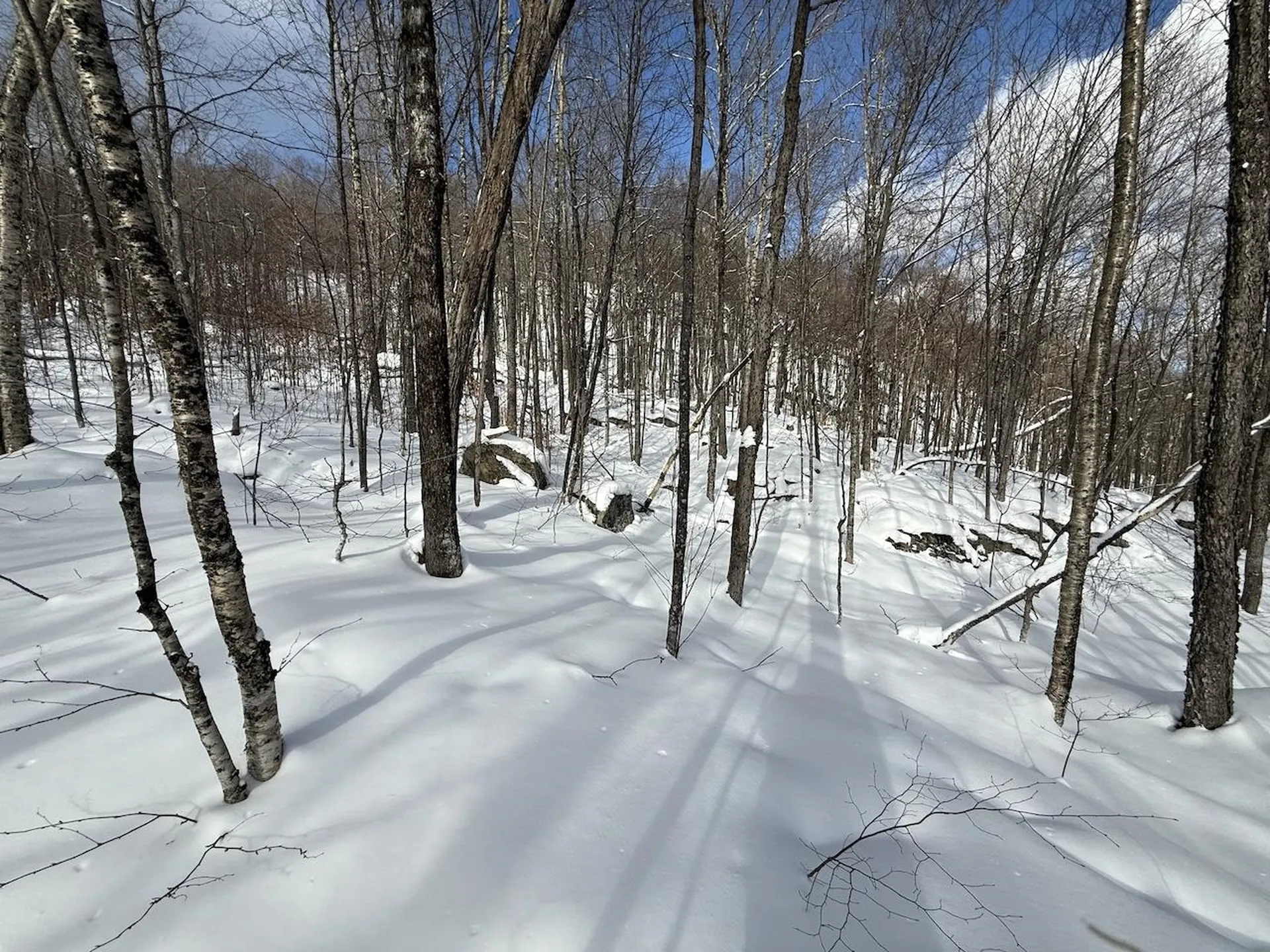 S-1d Great Roaring Brook Road Plymouth VT 05056