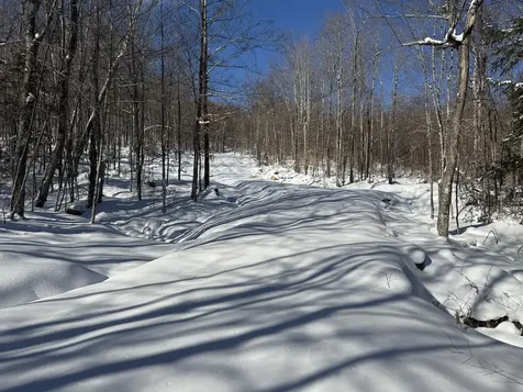 S-1d Great Roaring Brook Road Plymouth VT 05056