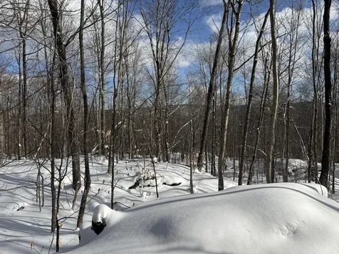 S-1d Great Roaring Brook Road Plymouth VT 05056