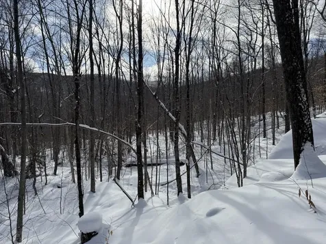 S-1d Great Roaring Brook Road Plymouth VT 05056