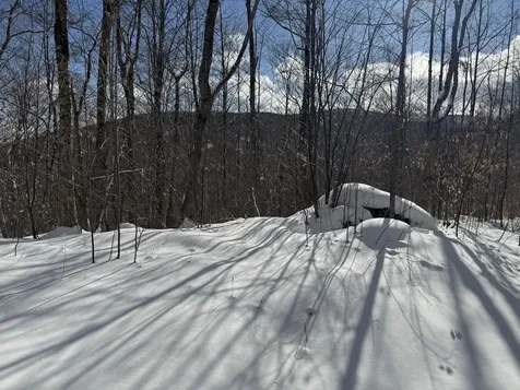 S-1d Great Roaring Brook Road Plymouth VT 05056