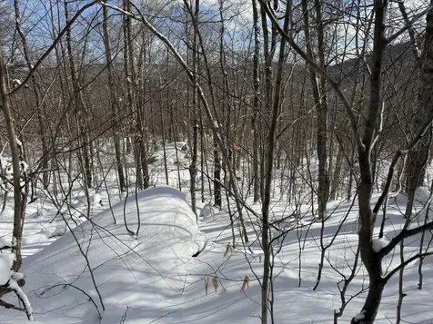 S-1d Great Roaring Brook Road Plymouth VT 05056