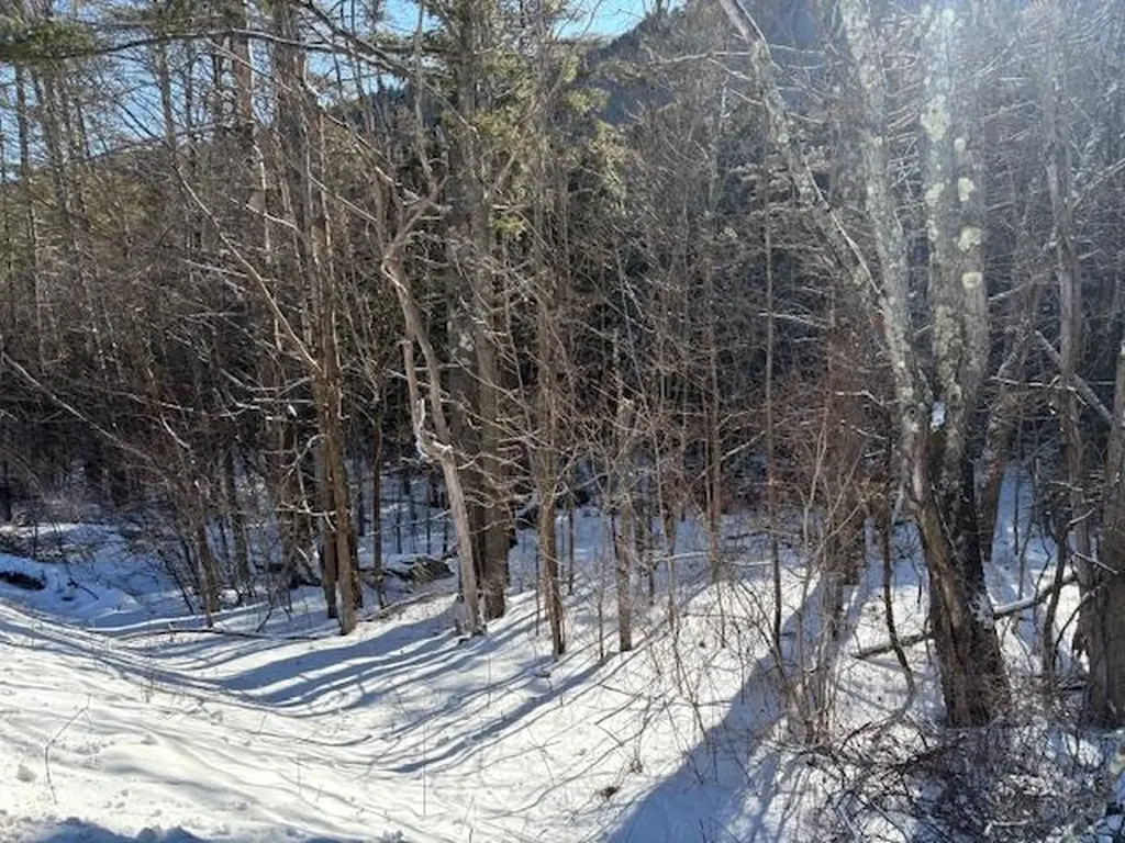 0 Route 107 Stockbridge VT 05772