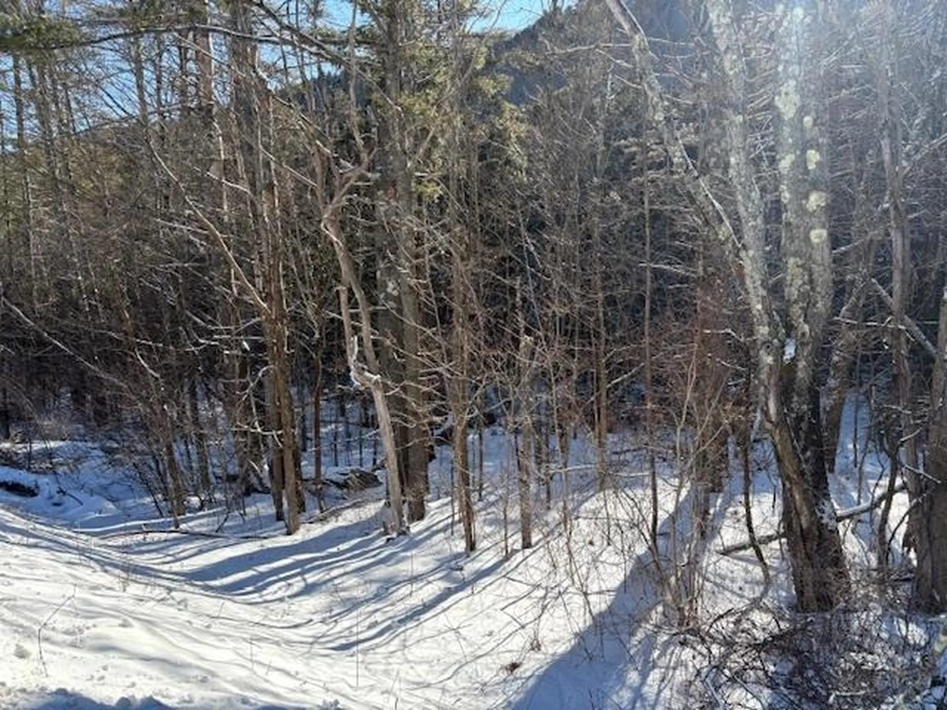 0 Route 107 Stockbridge VT 05772