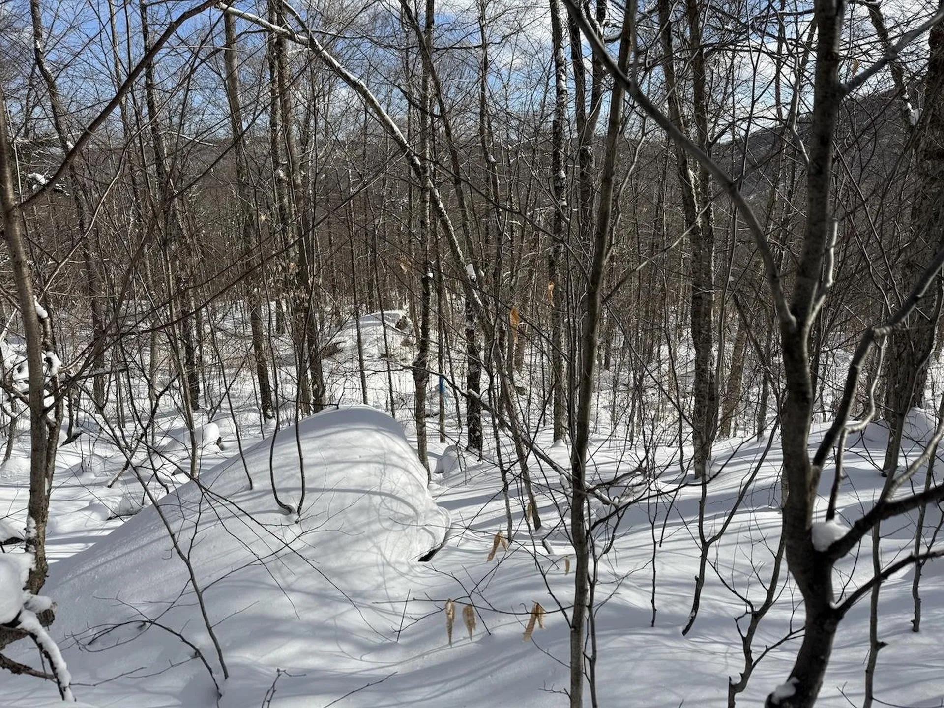 S-1C Great Roaring Brook Road Plymouth VT 05056