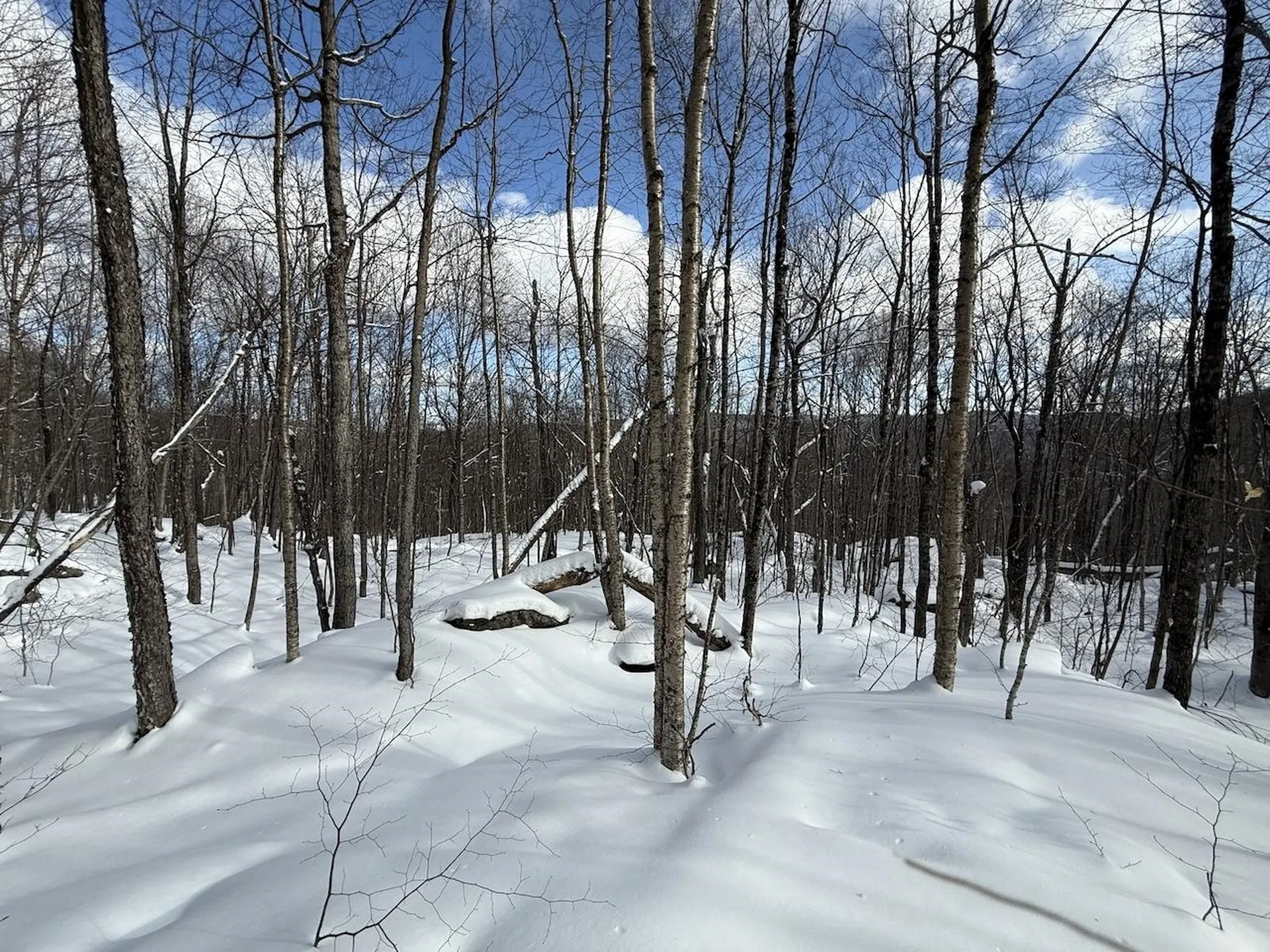 S-1C Great Roaring Brook Road Plymouth VT 05056