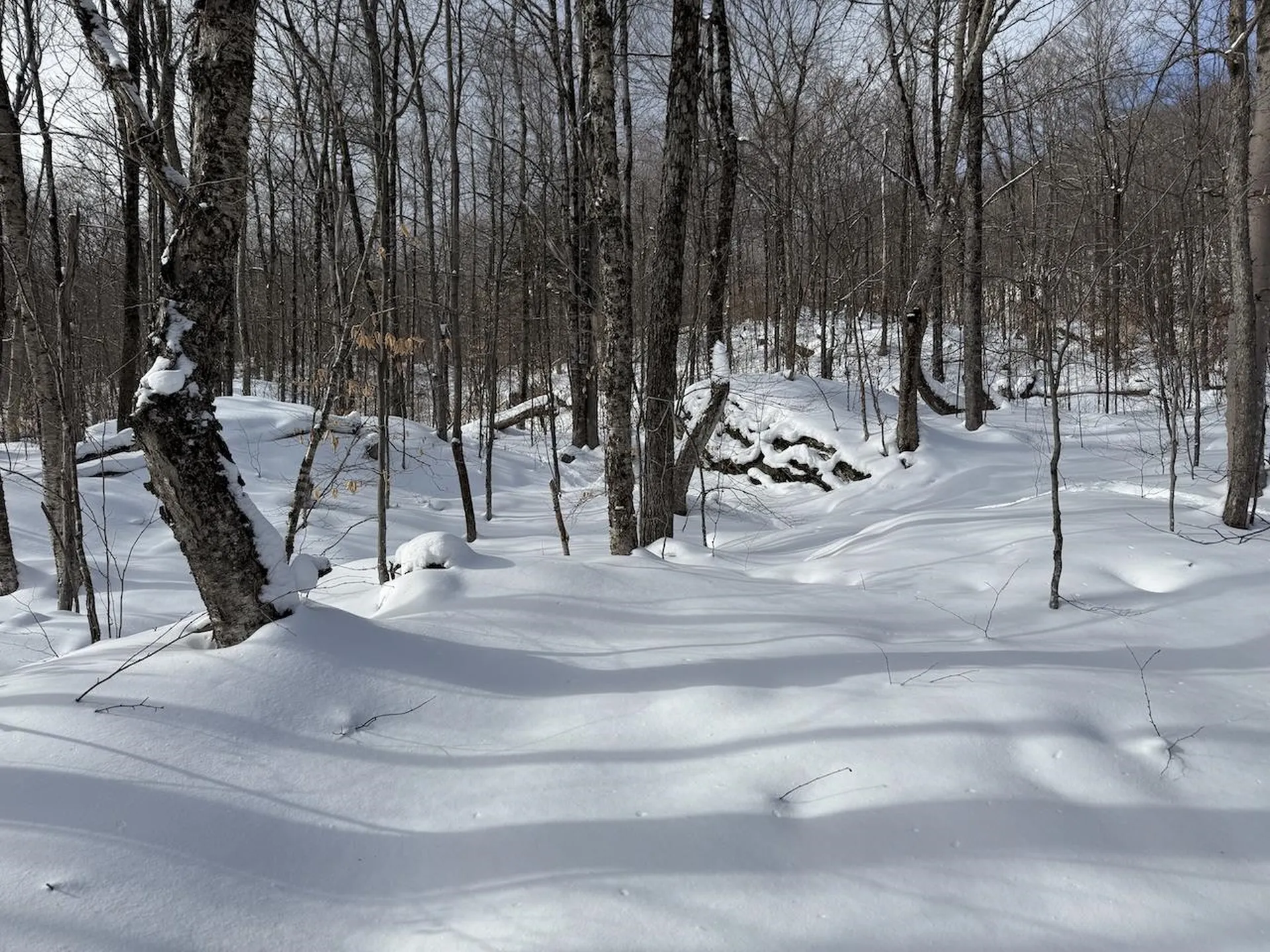 S-1C Great Roaring Brook Road Plymouth VT 05056