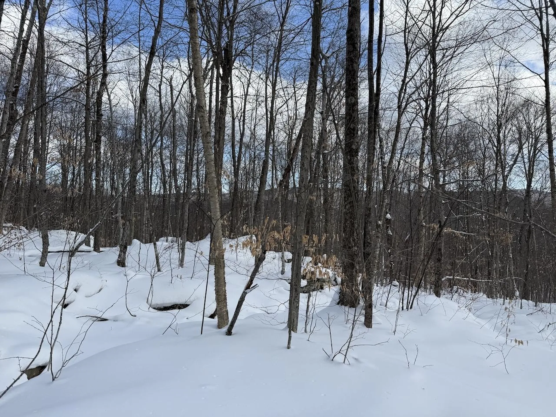 S-1C Great Roaring Brook Road Plymouth VT 05056