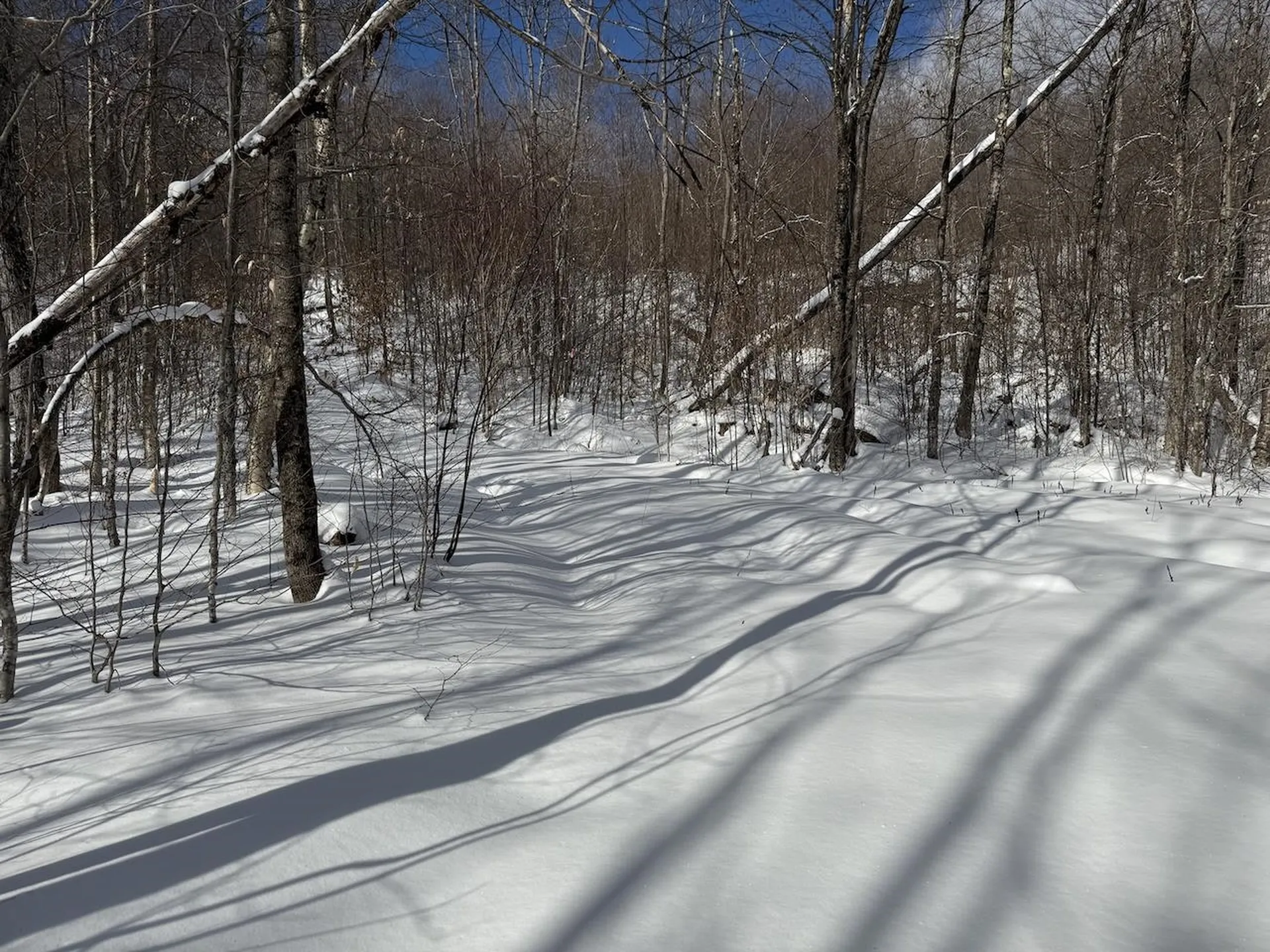 S-1C Great Roaring Brook Road Plymouth VT 05056