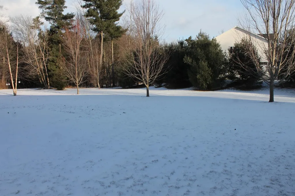 220 Fox Run Colchester VT 05446