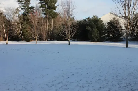 220 Fox Run Colchester VT 05446