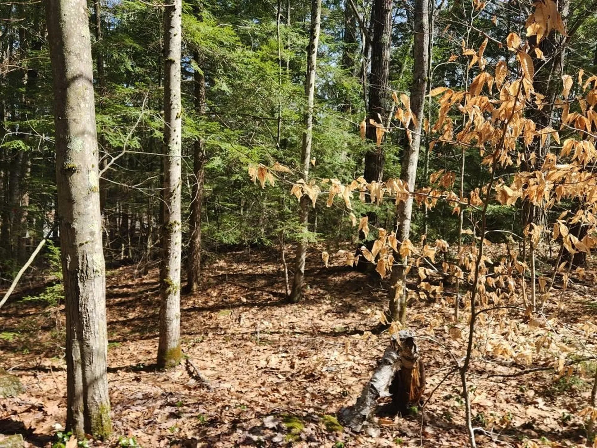 0 West Main Street Hillsborough NH 03244