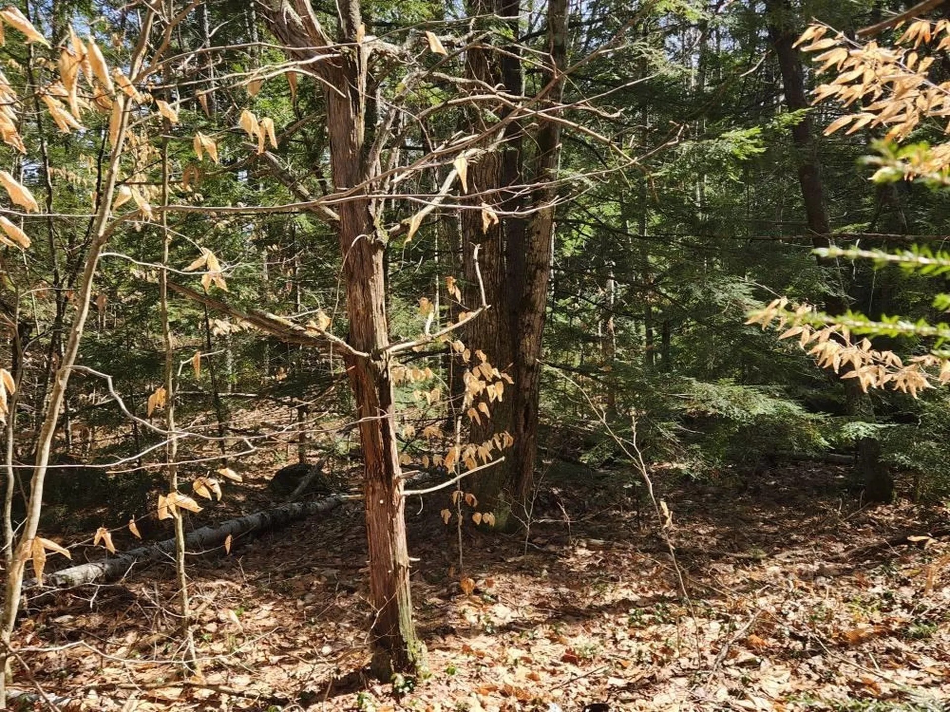 0 West Main Street Hillsborough NH 03244