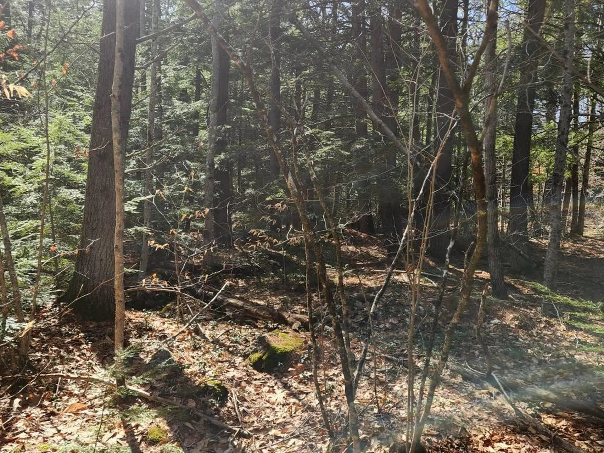 0 West Main Street Hillsborough NH 03244