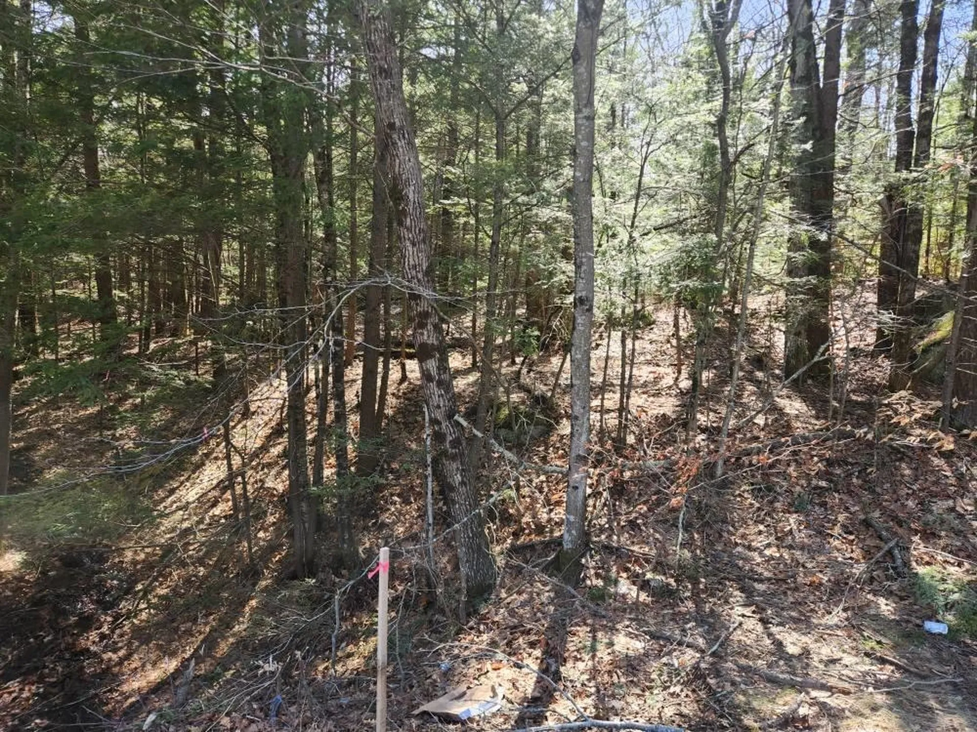 0 West Main Street Hillsborough NH 03244