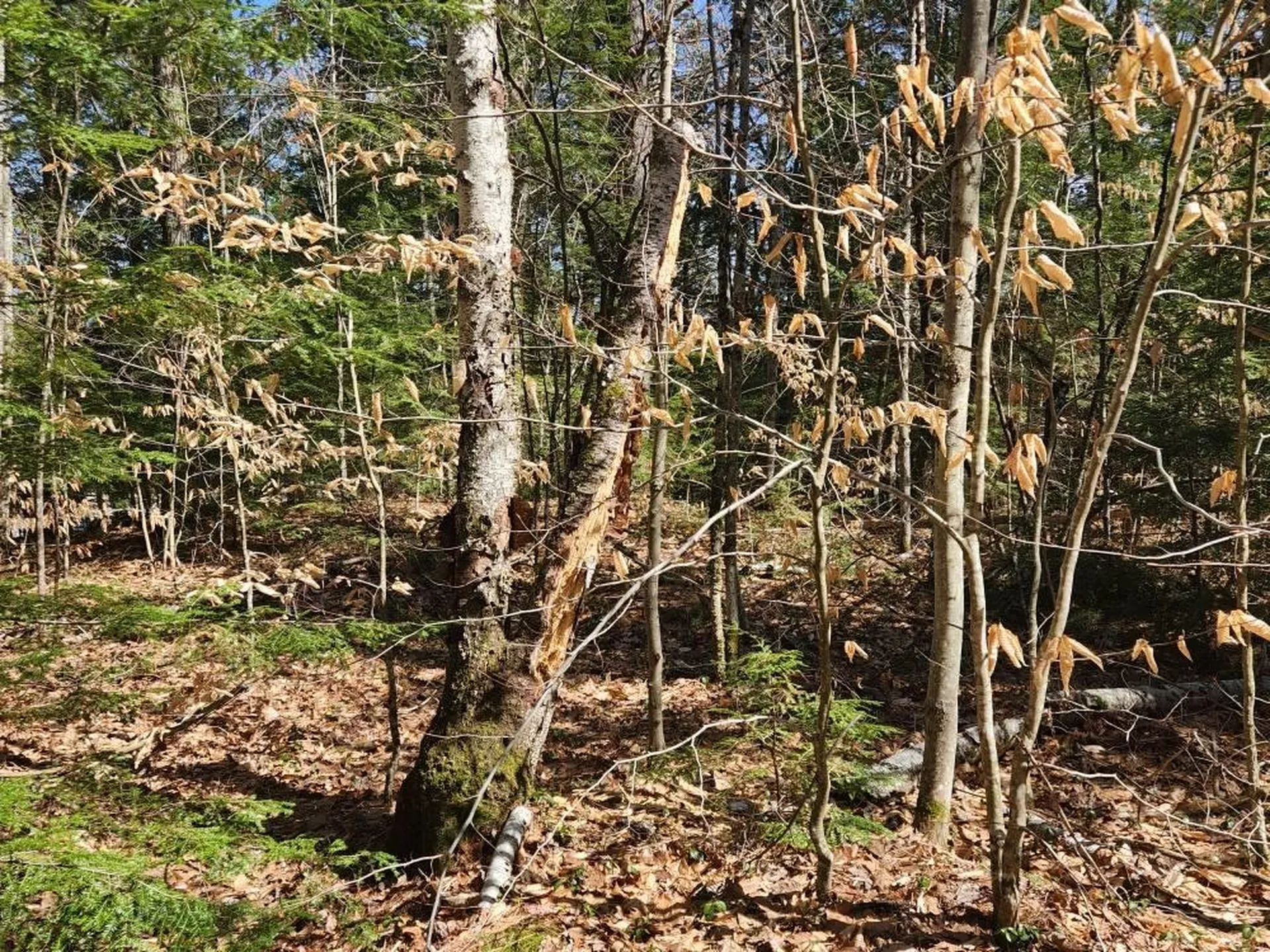 0 West Main Street Hillsborough NH 03244