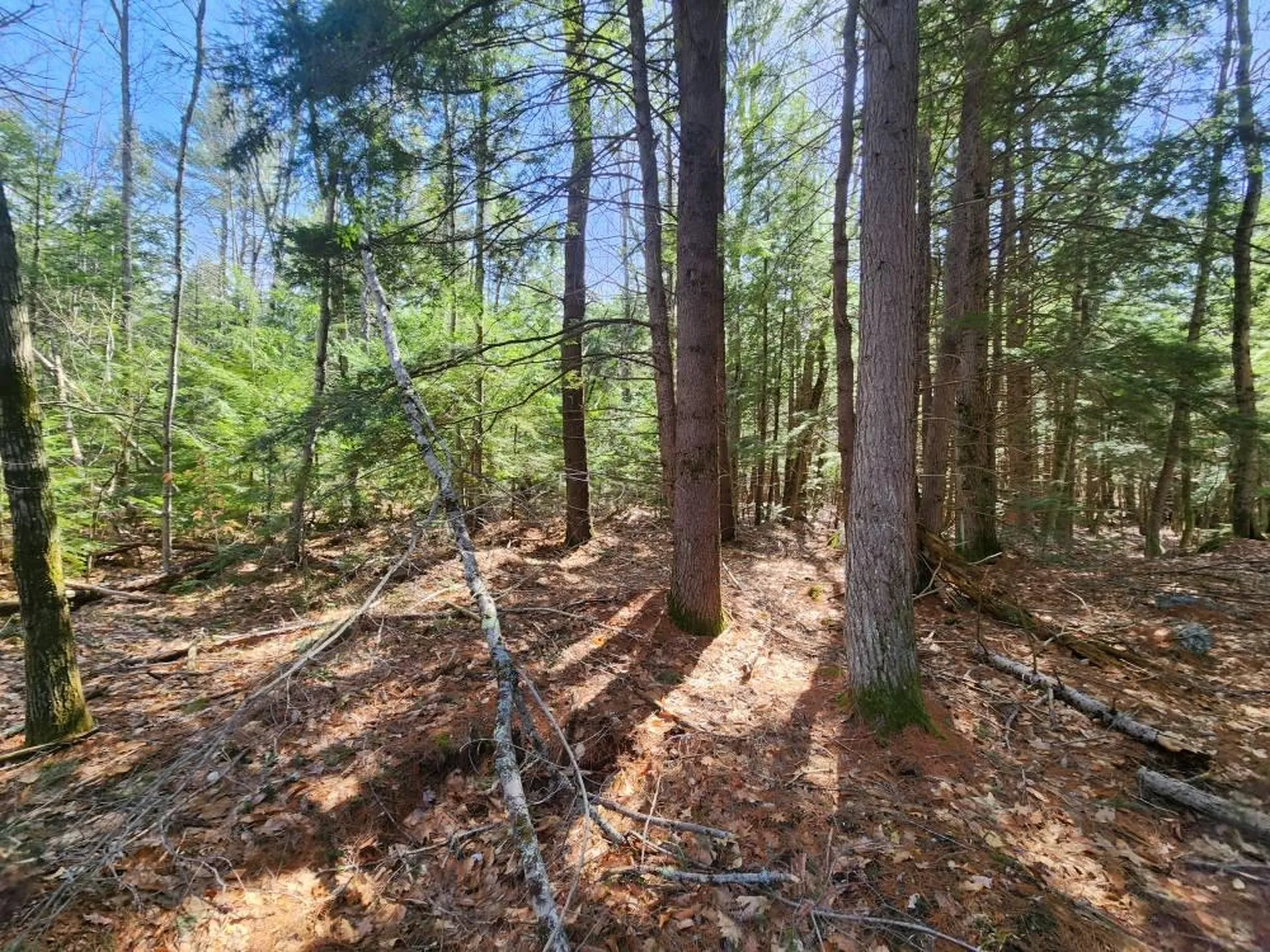 0 West Main Street Hillsborough NH 03244