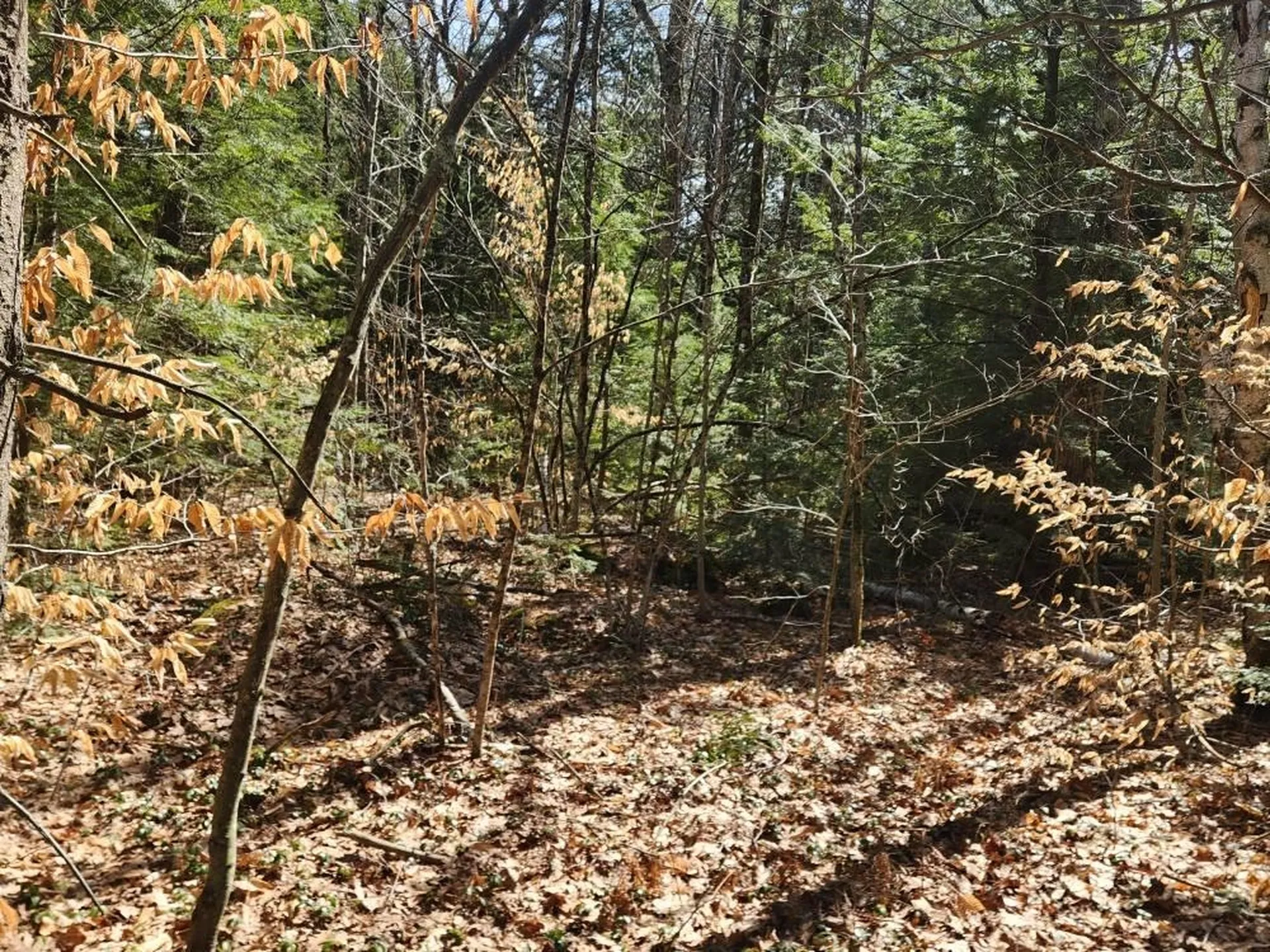 0 West Main Street Hillsborough NH 03244