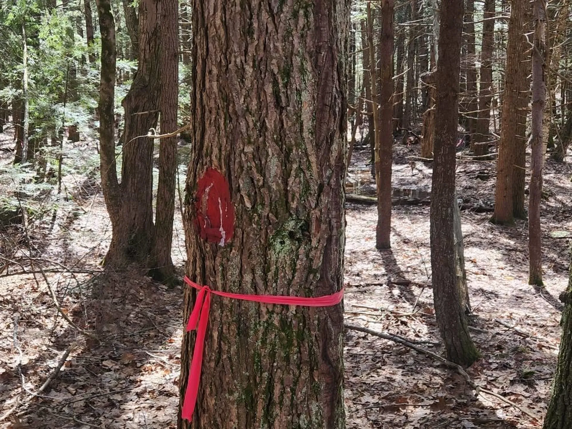 0 West Main Street Hillsborough NH 03244